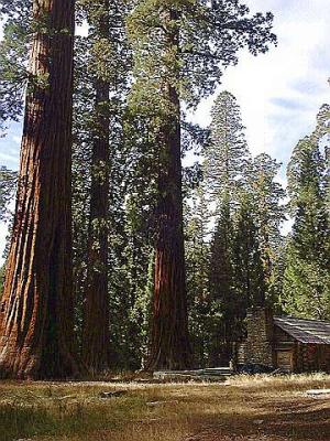 Yosemite (1999)