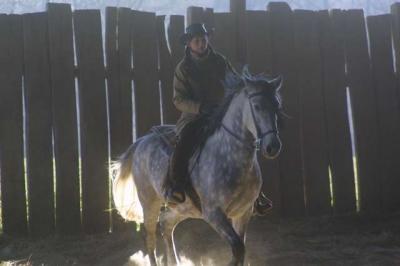 Horses (2001)