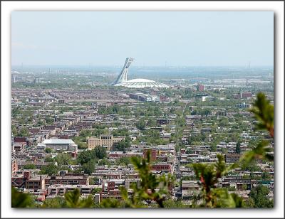 Olympic Stadium from Mount Royal