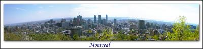 u29/steve_kc/medium/17481325.Montrealskyline.jpg