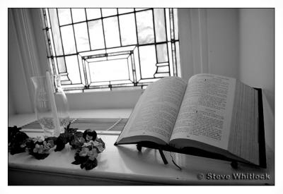 CRW_2386 copy.jpg