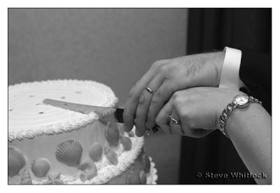 IMG_3020 copy.jpg