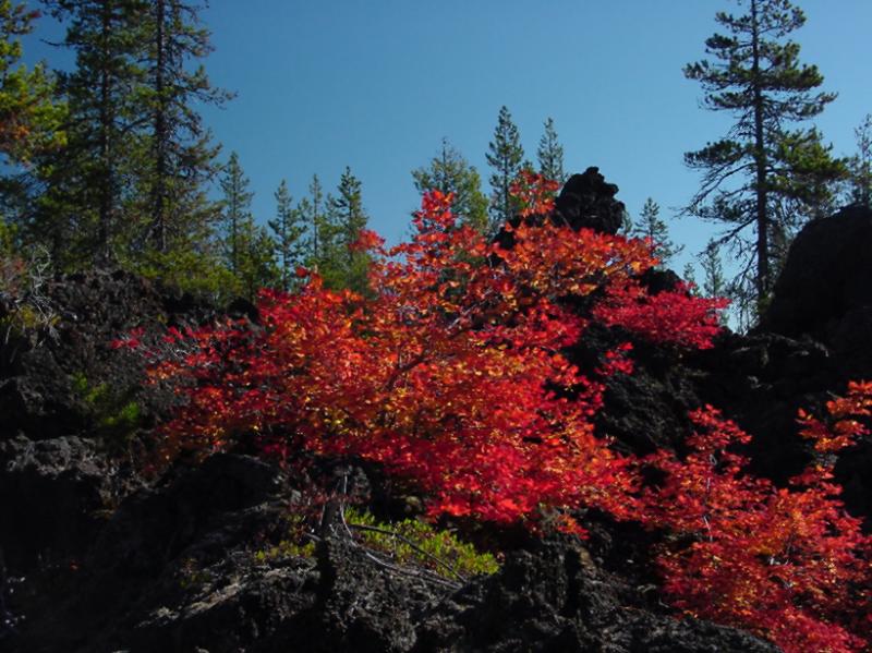 Red Lava*   by Ty McKay