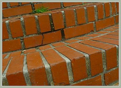 Bricks & Grass * by JB707