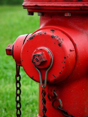 Hydrant*by Cara Davis Conomos