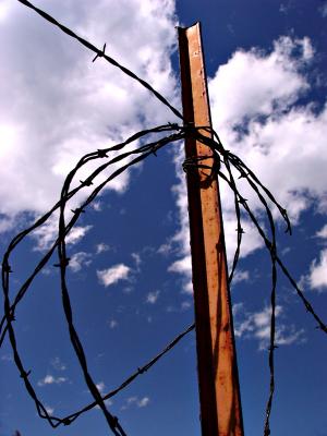 Fencepost * by mlynn