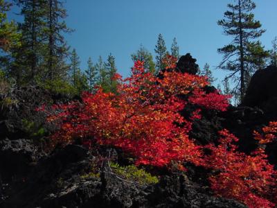 u29/stfchallenge/medium/17280413.RedLava.jpg