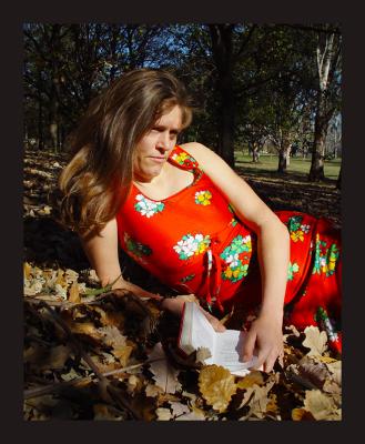 shakespear in the park
