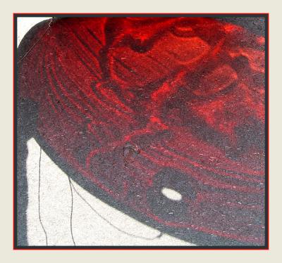 Red Shadow*by Ann Chaikin