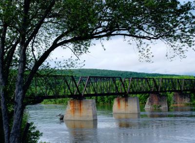 Abandoned Railroad Bridge by Michele Pesta