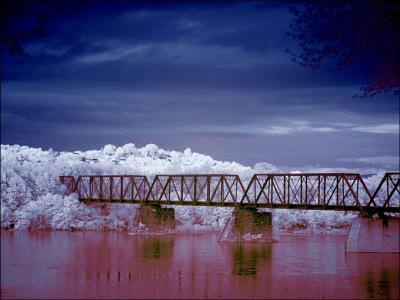 Abandoned Railroad Bridge IR by Michele Pesta