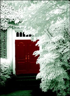 Red Door IR by Michele Pesta
