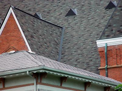 Roofs-with-Peakby Anorfir