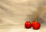 <b>Cherries</b><br><font size=2>by Ori</font>