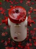 <p align=center> <b>Hydrant in the Fall<b> <br> <font size=1> by Jay Aquino</font> </p>