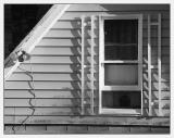 <B>Evening Shadows</B>*<BR><FONT size=2>by Ann Chaikin</FONT>