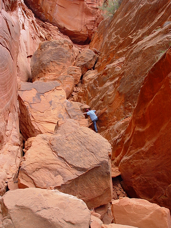 <b>Red Rock Climb</b><br><font size=2>by JJackson</font>