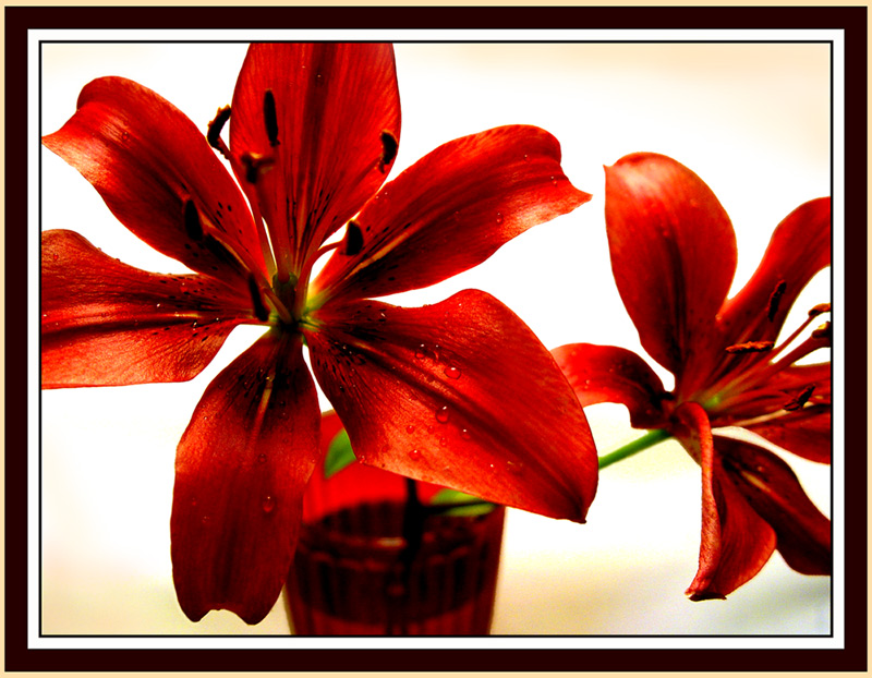 <B>Red Hot</b><br><font size=2>by Ne$B!&(Blt;/font>
