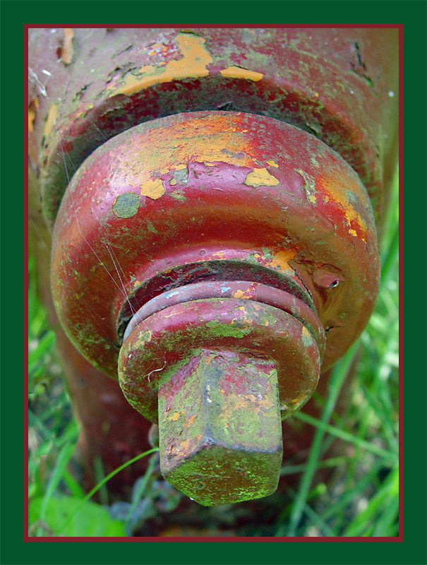 <B>Peeling Paint</B>*<BR><FONT size=2>by Ann Chaikin</FONT>
