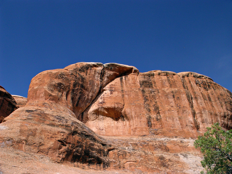 Resting Redstone Eagle * <br> by mlynn