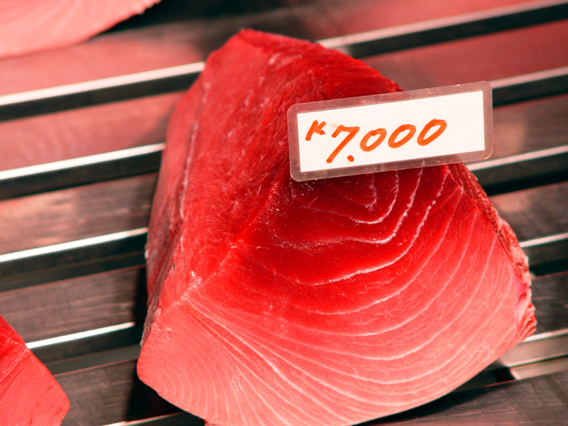 <b>$60 Tuna</b><br><font size=2>by chongma</font>