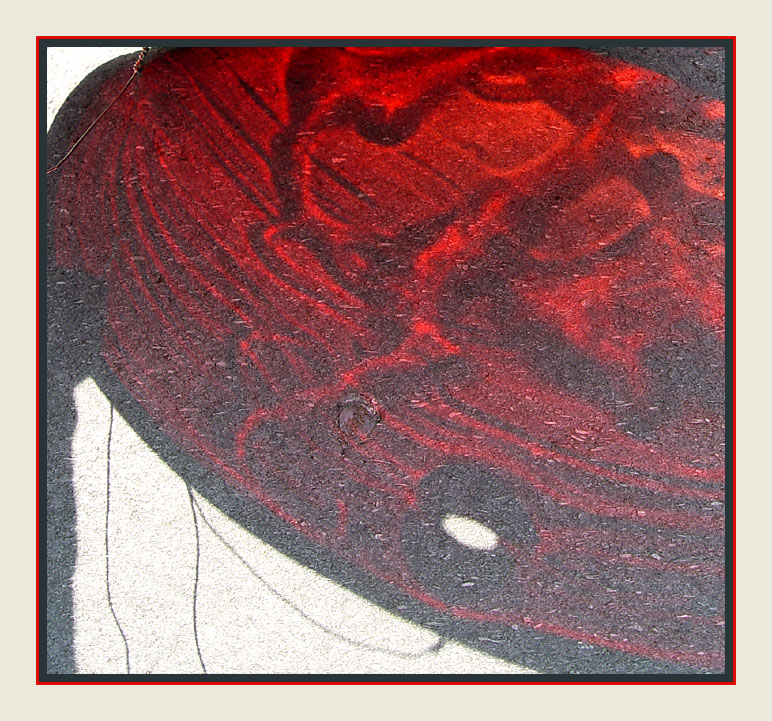 <B>Red Shadow</B>*<BR><FONT size=2>by Ann Chaikin</FONT>