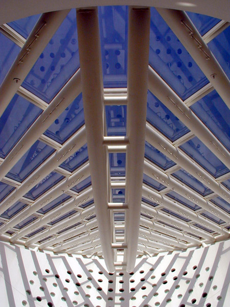 <b>SFMoMA</b> <BR><FONT size=2>Martin Taylor (Cellophane)</font>