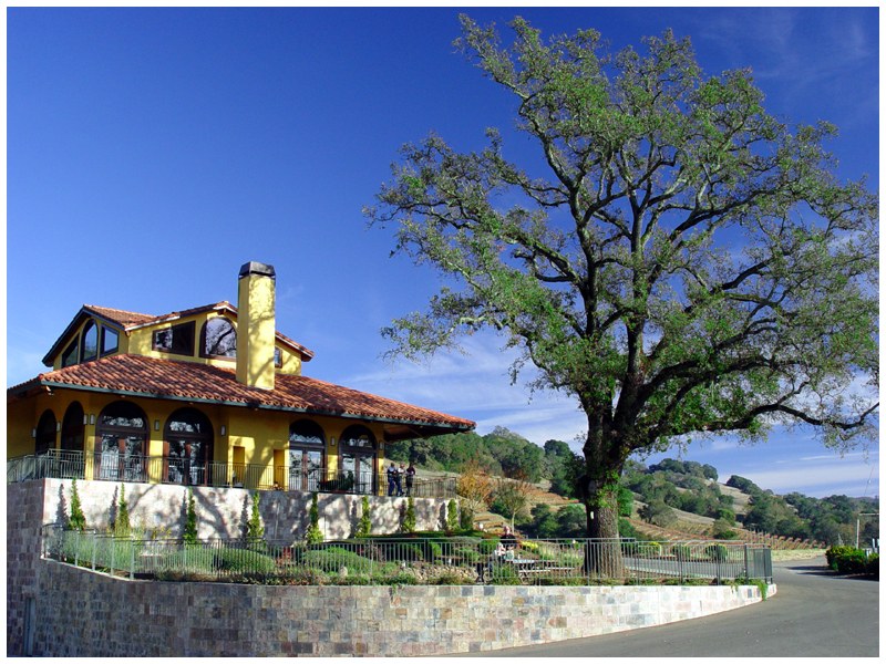 <B>Hanna Estate</B><BR><font size=1>by David Cappello</font>