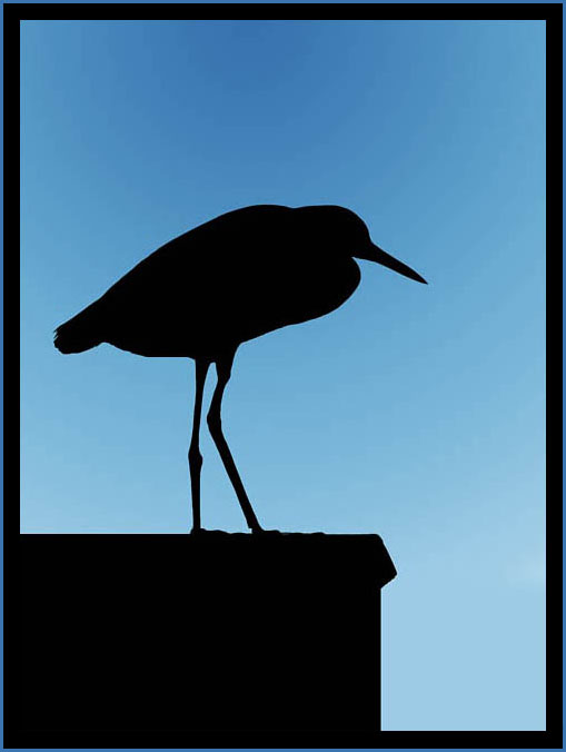 <B>Standing On Architecture</B><BR><font size=1>by Mark J</font>