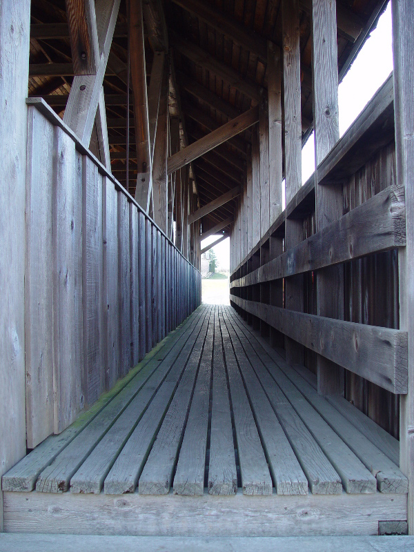 <B>Into the Light</B><BR><font size=1>by Stever</font>