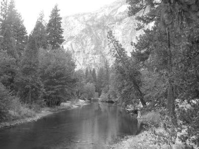 img_0020_016.jpg
