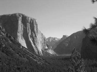 img_0050_040.jpg