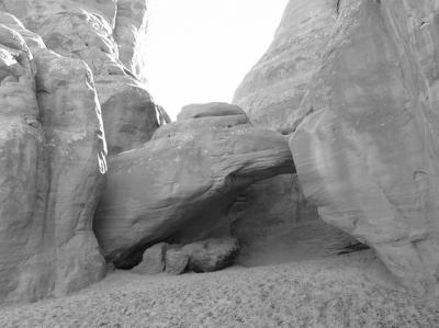 img_0344_074.jpg
