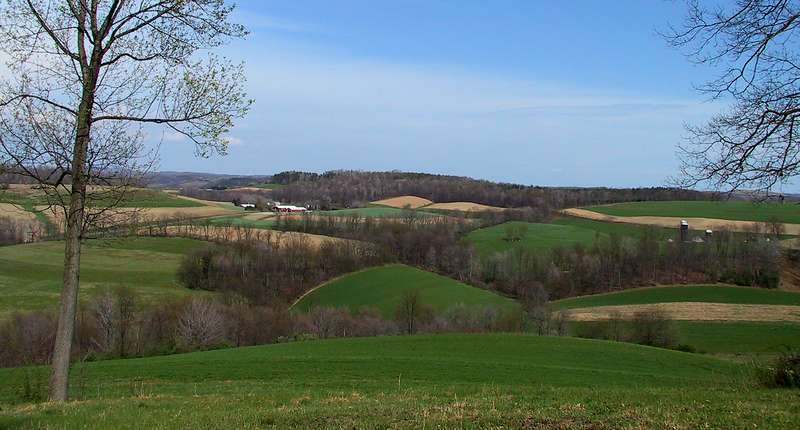 Summer farms