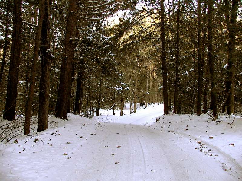 Rural road in winter