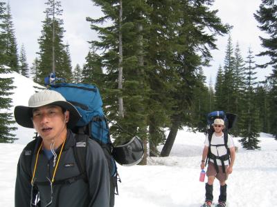 u29/termite/medium/17210088.shasta0004.jpg