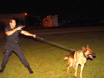 Tampa PD K-9 Unit