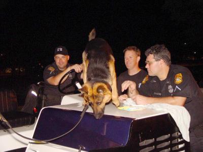 Tampa Police K-9