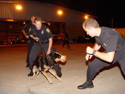 Tampa Police K-9 Unit