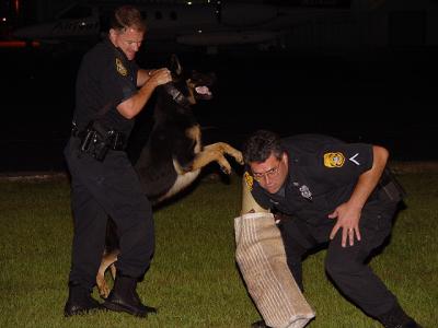 Tampa Police K-9 Unit