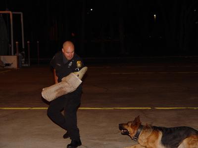 u29/thpproductions/medium/17658362.tpdk99.jpg
