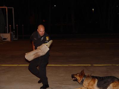 Tampa Police K-9 Unit