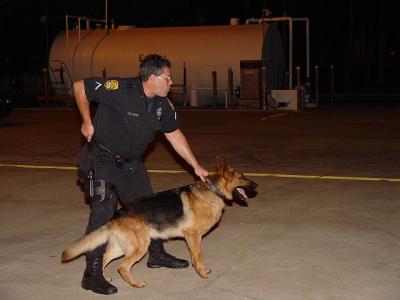 Tampa Police K-9 Unit