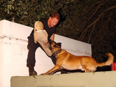 Tampa Police K-9 Unit