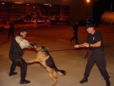 Tampa Police K-9 Unit