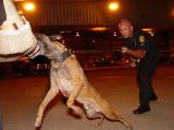 Tampa Police K-9 Unit
