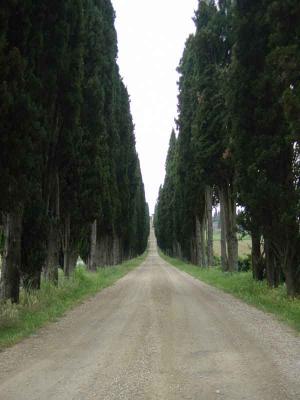 Montepulciano 6.jpg