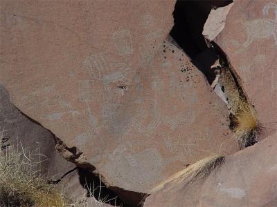 Petroglyph in Little Petroglyph Canon