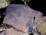 Petroglyph in Little Petroglyph Canon