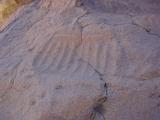 Petroglyph in Little Petroglyph Canon